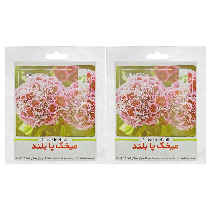 بذر گل میخک پابلند گرین فارم کد GRF-M بسته 2 عددی