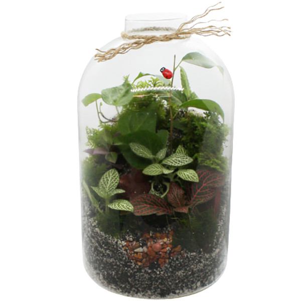 تراريوم ليليوم مدل ايستاده تراريوم ليليوم مدل ايستاده