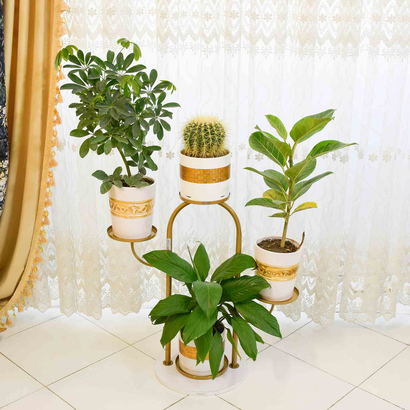استند گلدان دکومرآت مدل کاکتوس 4
