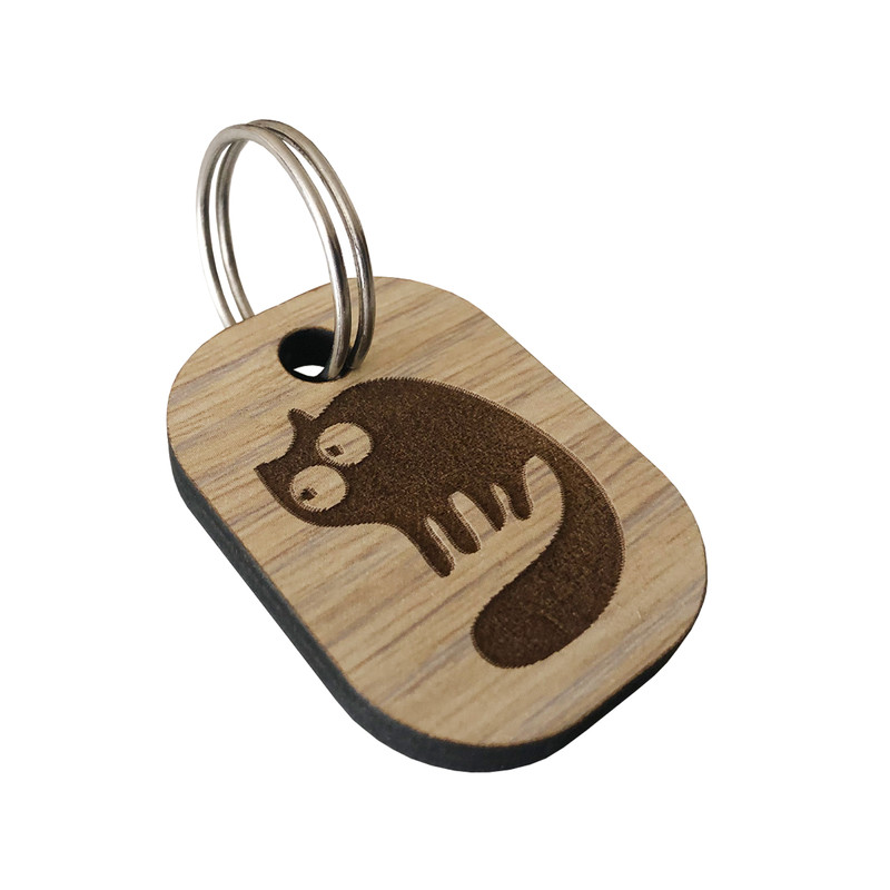 جا کلیدی مدل fj22