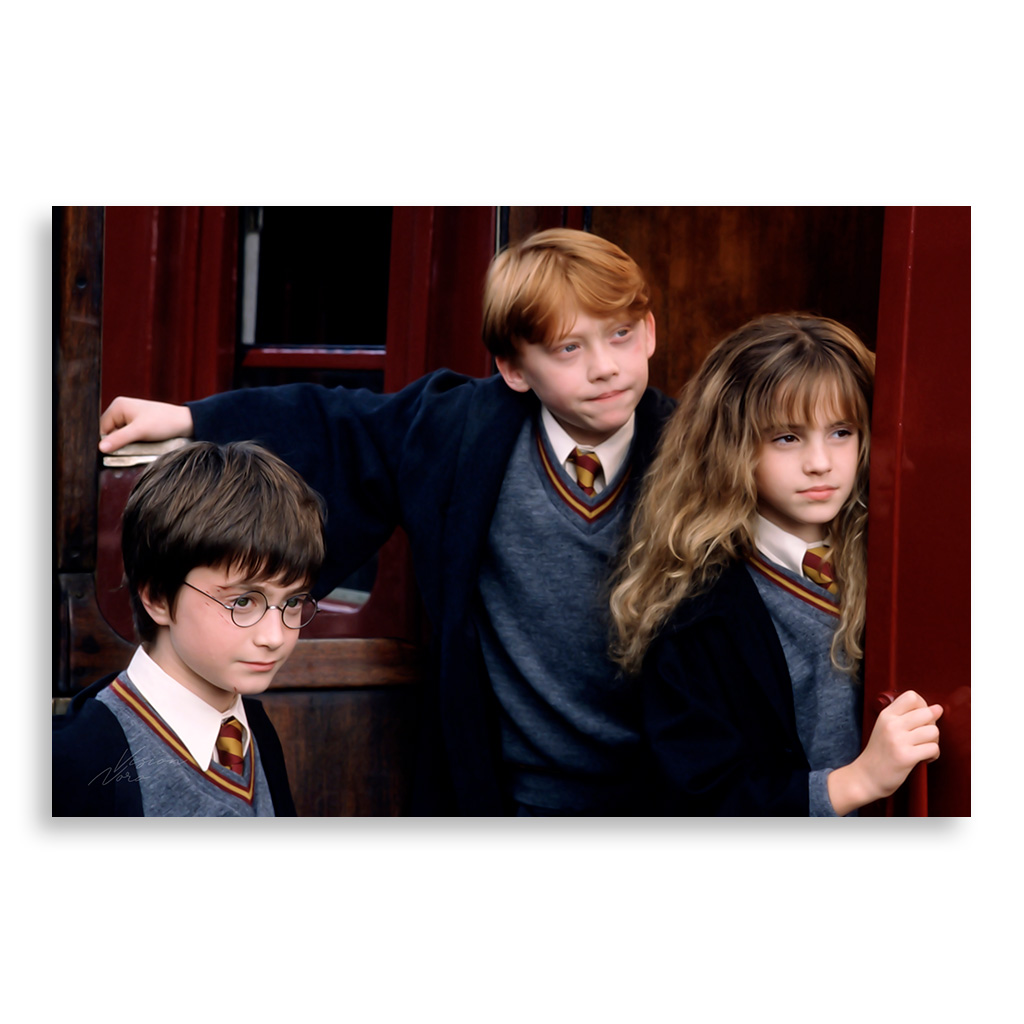 تابلو شاسی طرح فیلم هری پاتر Harry Potter مدل NV0409