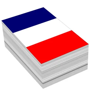 کاغذ یادداشت مستر راد مدل جام جهانی قطر طرح پرچم فرانسه کد 1019