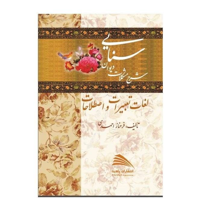 کتاب شرح مشکلات دیوان سنایی اثر فرحناز احمدی انتشارات پادینا