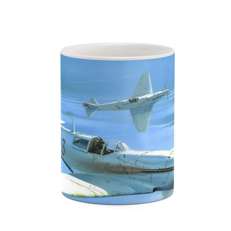 ماگ کاکتی مدل هواپیمای جنگنده کد mgh20402