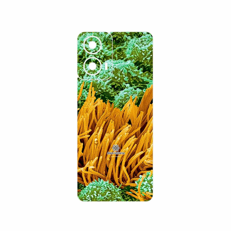 برچسب پوششی ماهوت مدل Atom Universe 6 مناسب برای گوشی موبایل موتورولا Moto G24