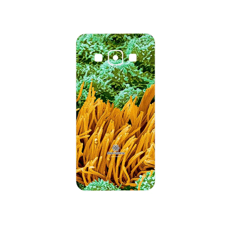 برچسب پوششی ماهوت مدل Atom Universe 6 مناسب برای گوشی موبایل سامسونگ Galaxy A3