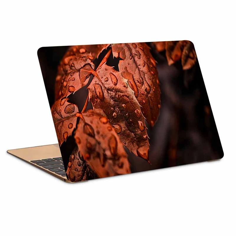 استیکر لپ تاپ طرح leaves drops macro branch natur کد N-323 مناسب برای لپ تاپ 15.6 اینچی