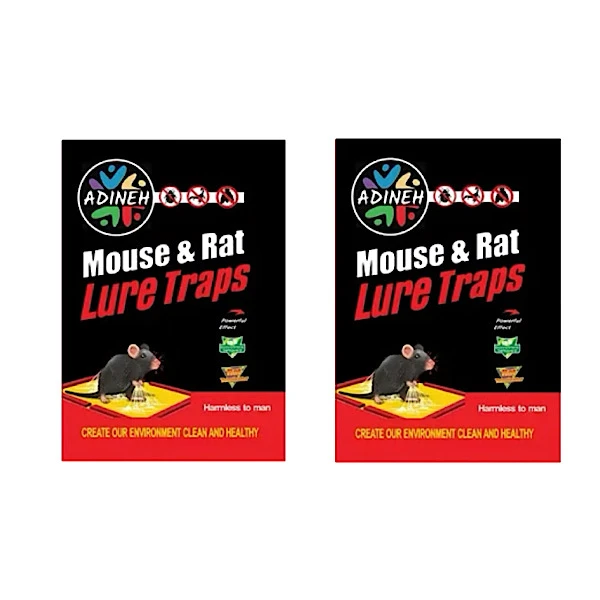 چسب موش آدینه مدل کتابی وزن 80 گرم بسته 2 عددی