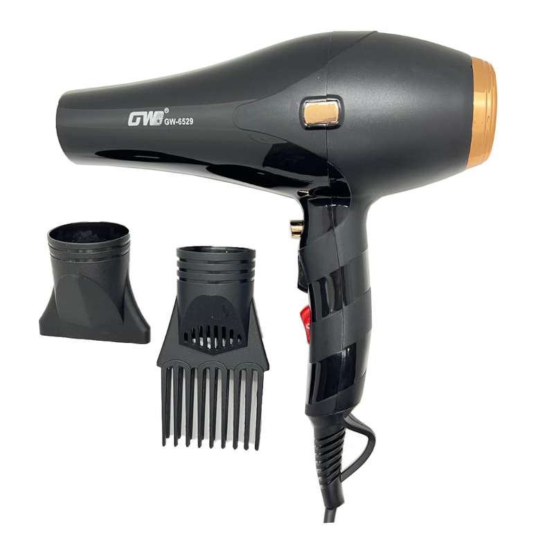 سشوار حرفه ای جی دبلیو مدل GW-6529