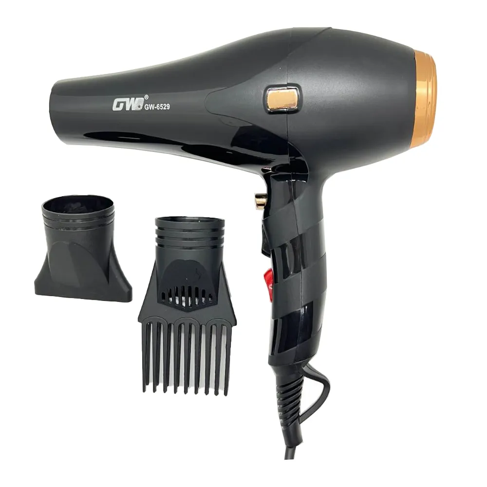 سشوار حرفه ای جی دبلیو مدل GW-6529