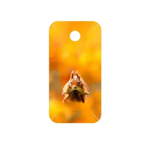 MAHOOT Squirrel Cover Sticker for Huawei Ascend Y330