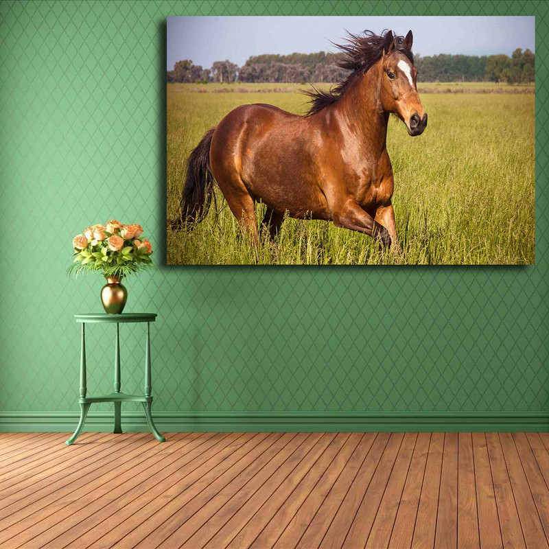 تابلو شاسی مدل اسب کد 18