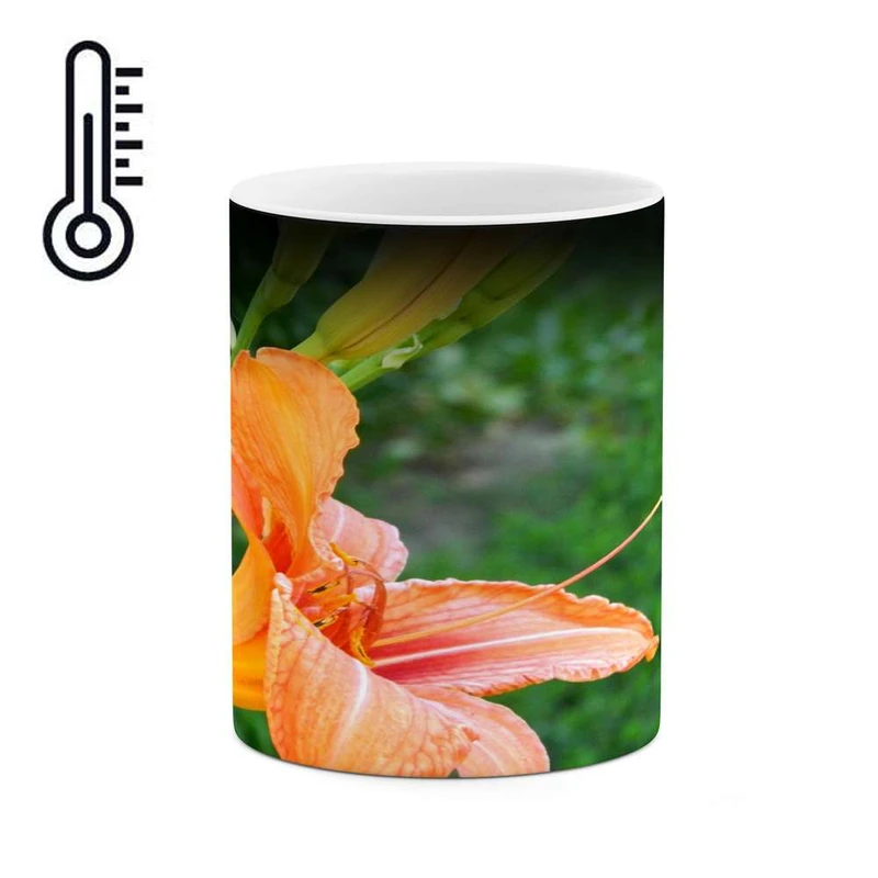 ماگ حرارتی کاکتی مدل گل کد mgh15464