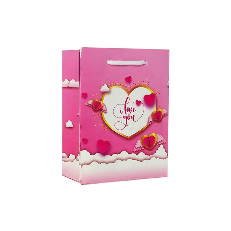 ساک هدیه کد 1130 بسته 2 عددی