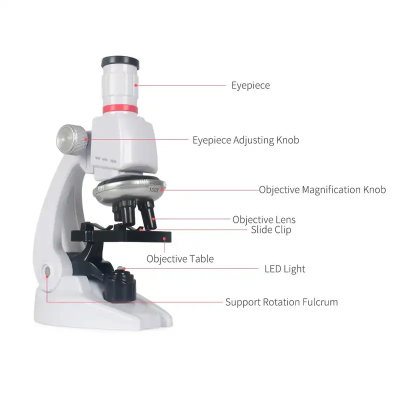 میکروسکوپ  مدل educational microscope کد 01A02