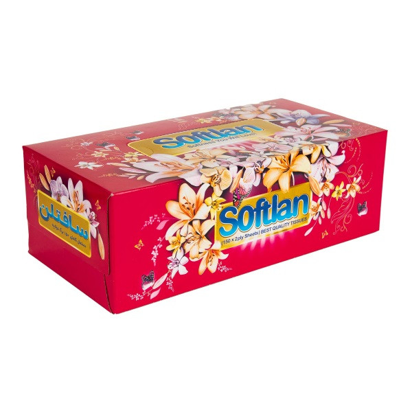 دستمال کاغذی 300 برگ سافتلن مدل باغ بهشت بسته 6 عددی