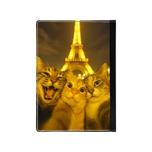 کلاسور مدل سه گربه 400