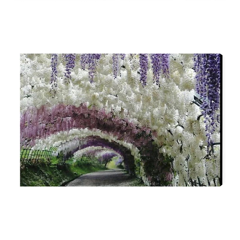 تابلو شاسی عرش طرح گردشگری ژاپن مدل باغ کاواچی ویستریا کد As6188