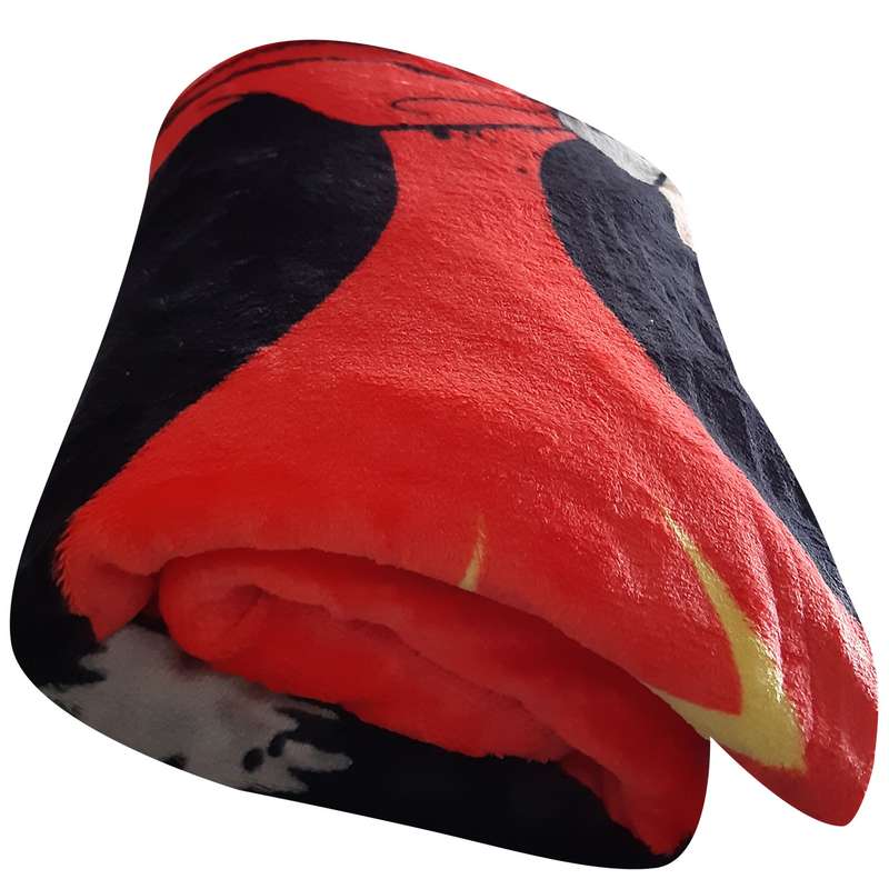 پتو مسافرتی کد 724 سایز 160x220 سانتی متر