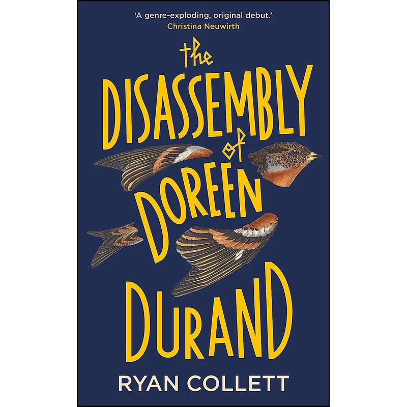 کتاب The Disassembly of Doreen Durand اثر Ryan Collett انتشارات Sandstone Press