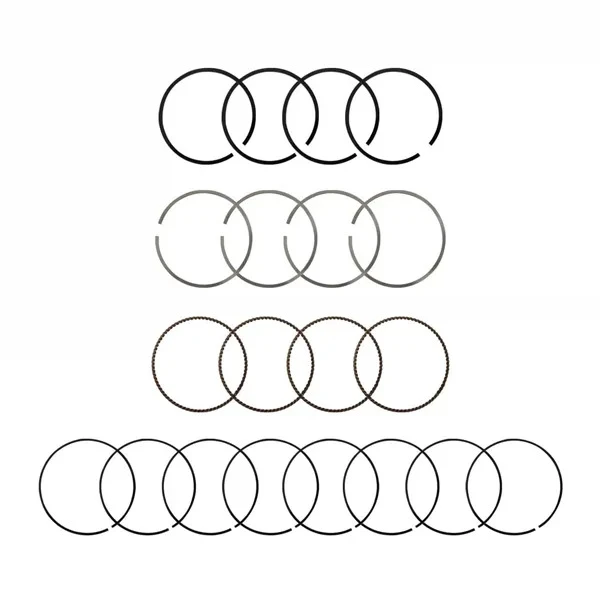 رینگ موتور  مدل 10040242530GG010 مناسب برای جک J4 اتومات بسته 20 عددی