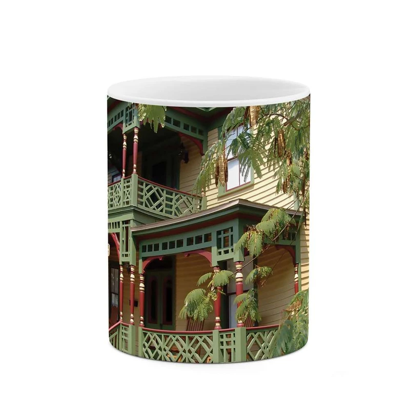 ماگ کاکتی مدل خانه زیبا کد mgh10271