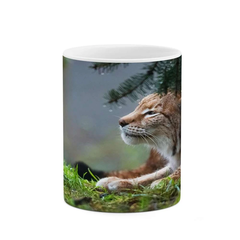 ماگ کاکتی مدل پلنگ کد mgh16179