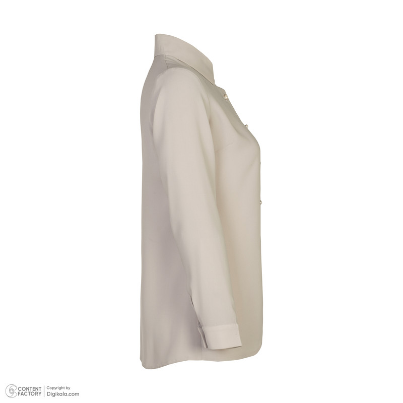 شومیز آستین بلند زنانه پیر کاردین مدل 9208223