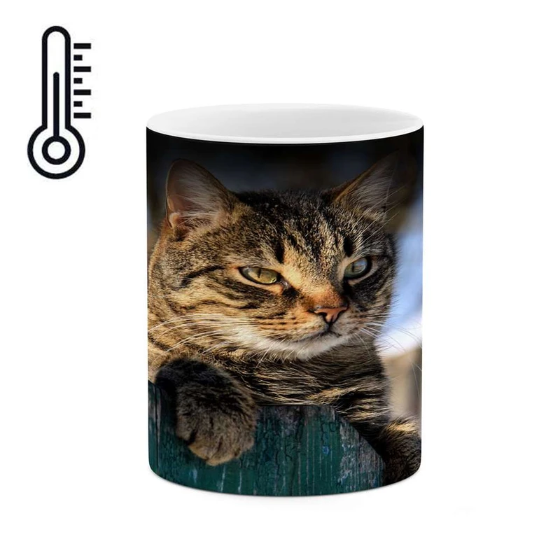 ماگ حرارتی کاکتی مدل گربه کد mgh16582