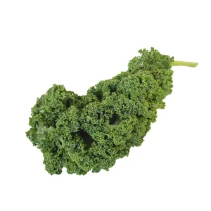 کیل سبز درجه یک - 500 گرم