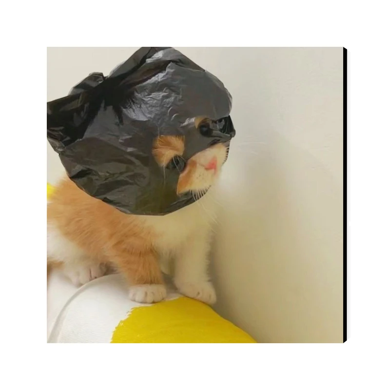 تابلو شاسی عرش مدل فانتزی گربه کد As5421