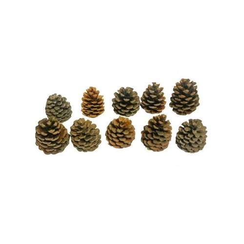 میوه تزئینی طرح کاج مجموعه ۱۰ عددی