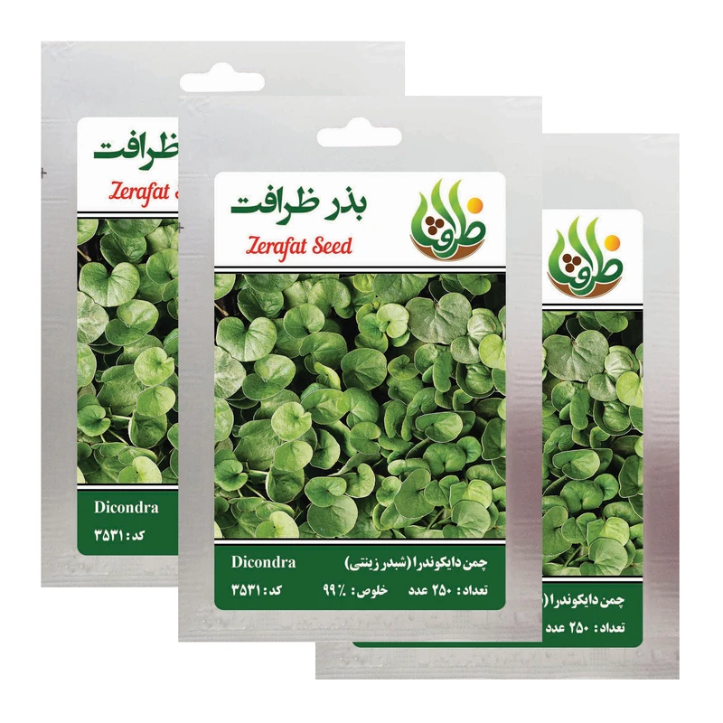بذر چمن دایکوندرا ظرافت مدل BZ18069 بسته 3 عددی بذر چمن دایکوندرا ظرافت مدل BZ18069 بسته 3 عددی