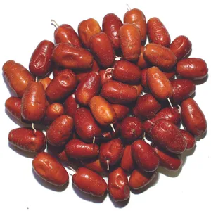 سنجد فله مقدار 500 گرم