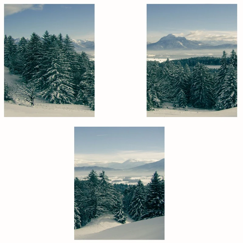 پوستر مدل مسترتپه های برفی -چاپ درختان کاج مجموعه 3 عددی