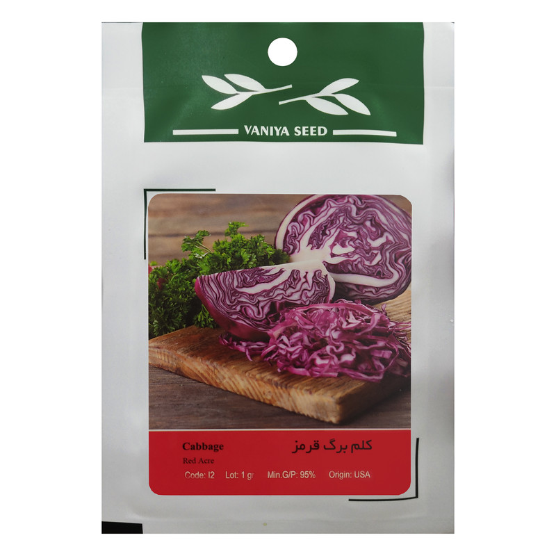 بذر کلم برگ قرمز وانیا سید مدل I2