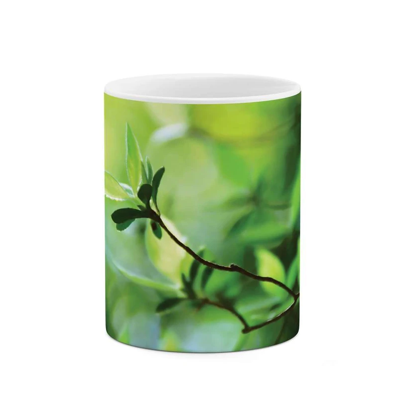 ماگ کاکتی مدل برگ کد mgh10237