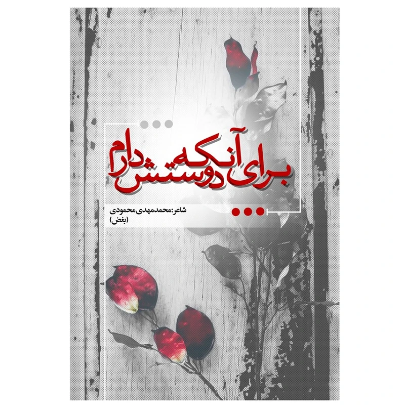 کتاب برای آنکه دوستش دارم اثر محمدمهدی محمودی انتشارات نسل روشن