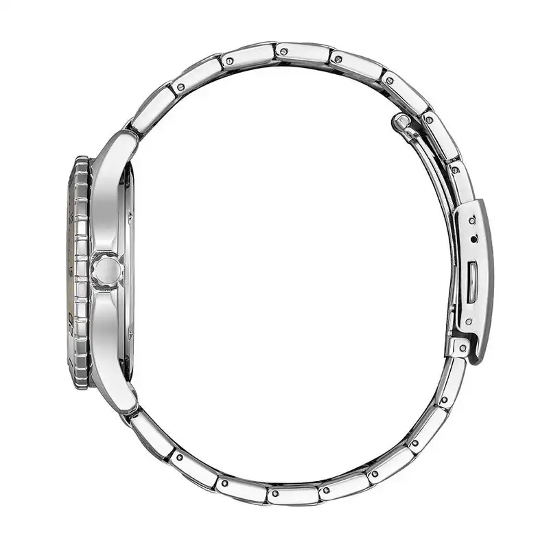 ساعت مچی عقربه ای زنانه سیتی زن مدل FE6170-88D