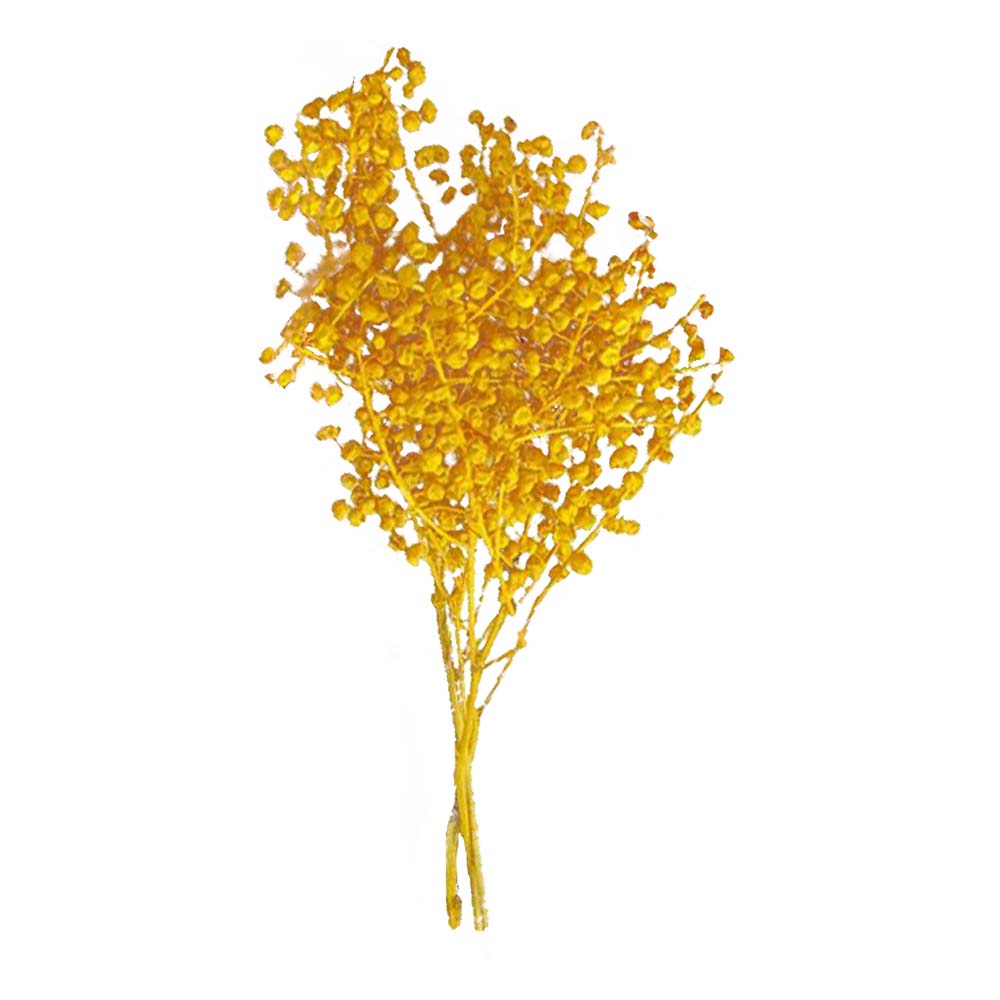 گل خشک مدل عدسی بوته ای کد 15