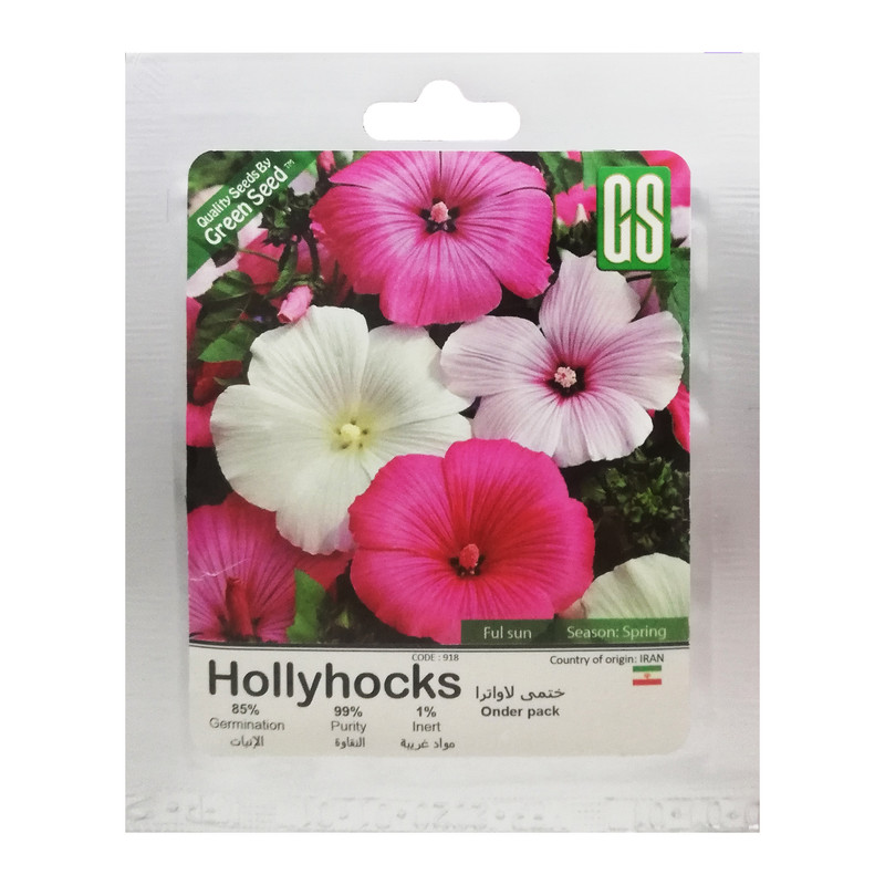 بذر گل ختمی لاواترا گرین سید مدل BZG229 بذر گل ختمی لاواترا گرین سید مدل BZG229