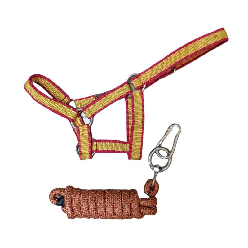  کله گیر اسب کد K01 به همراه طناب
