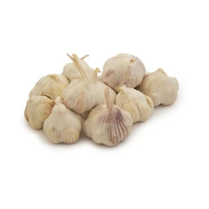 سیر خشک مقدار 500 گرم