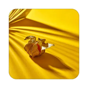 زیر لیوانی کاکتی طرح گل مدل mp18084