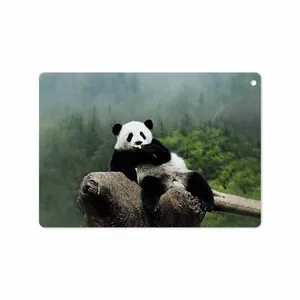 MAHOOT Panda Cover Sticker for Apple iPad 9.7 GEN 5 2017 A1823