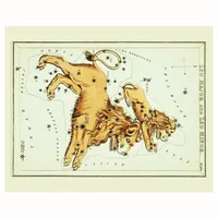 پوستر مدل  صورت فلکی زودیاک لئو 