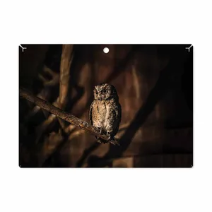 MAHOOT Owl Cover Sticker for Lenovo Miix 320 2017