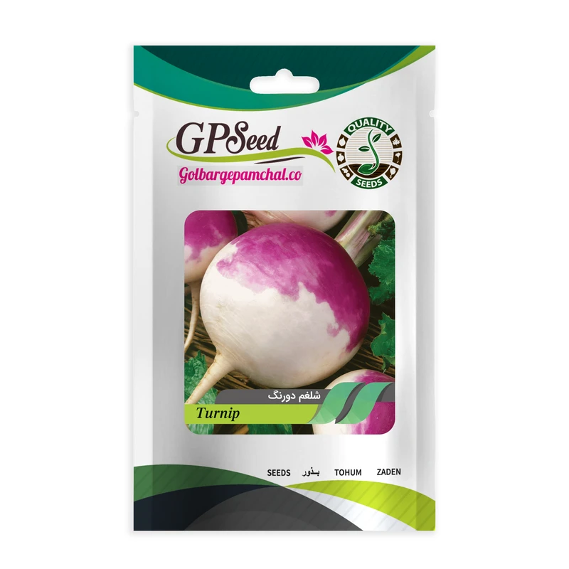 بذر شلغم دو رنگ بنفش و سفید جی پی سید مدل GP3323
