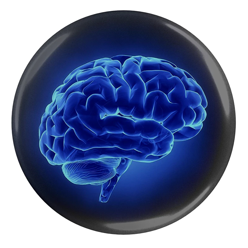 پیکسل طرح مغز انسان مدل S5081