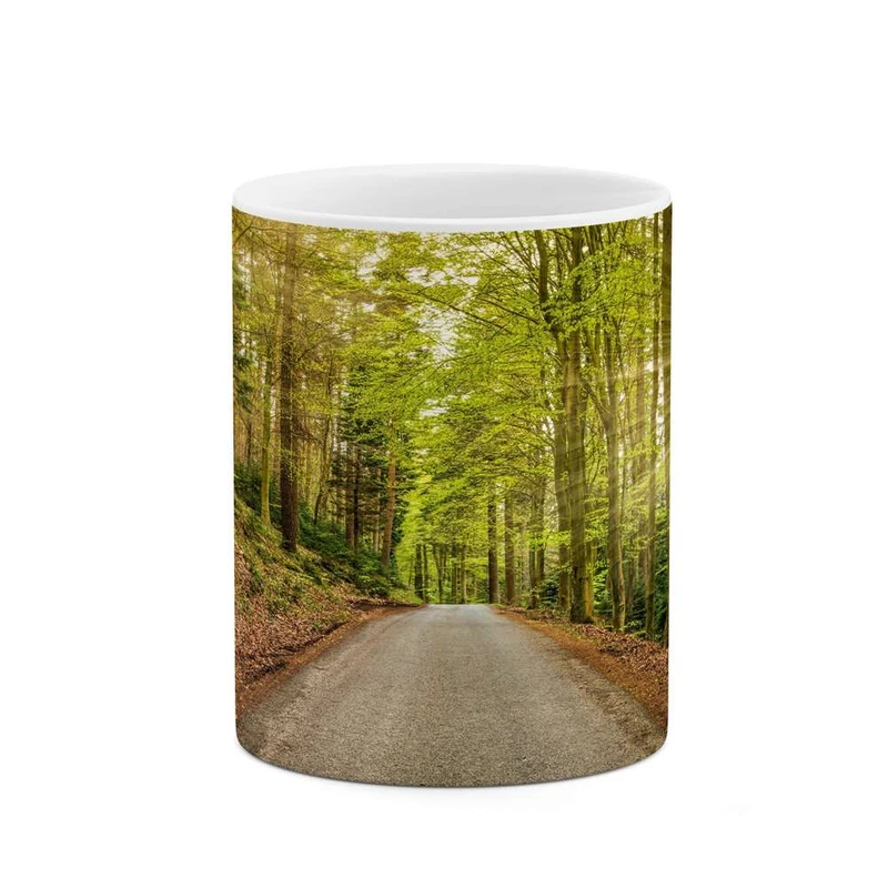 ماگ کاکتی مدل منظره کد mgh13272